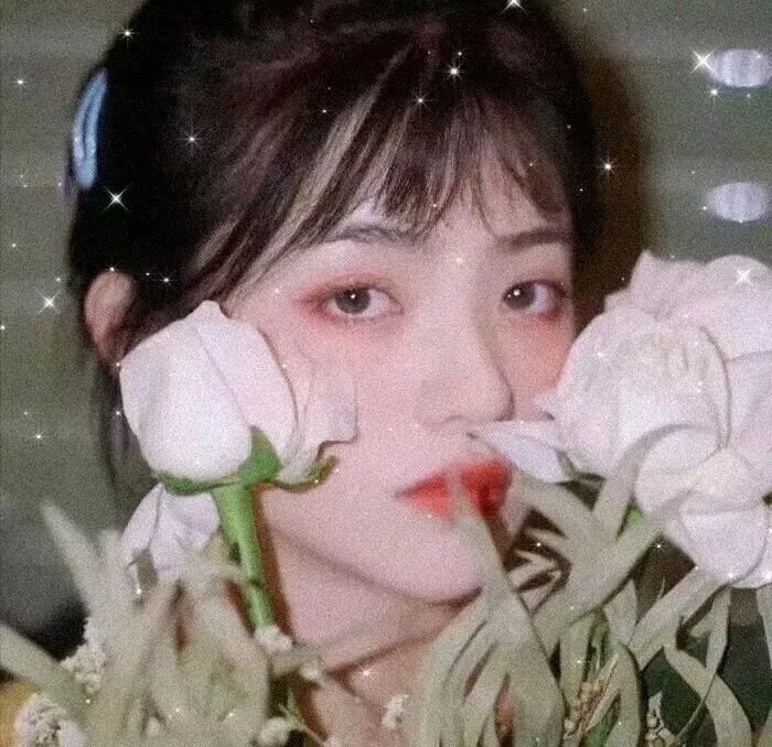 战火情鸳
